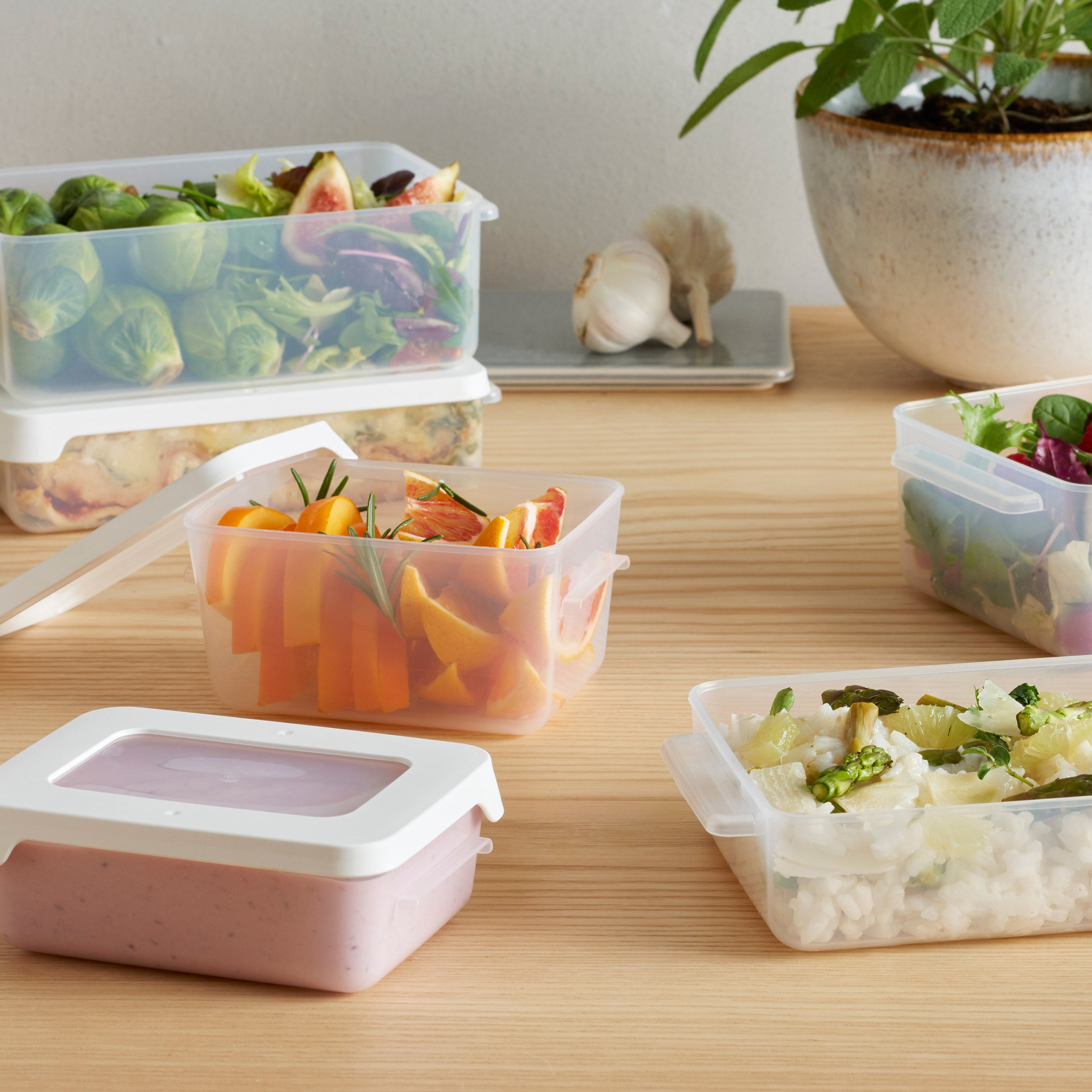 Airtight Food Storage Container 0.45 Litre - Image 5